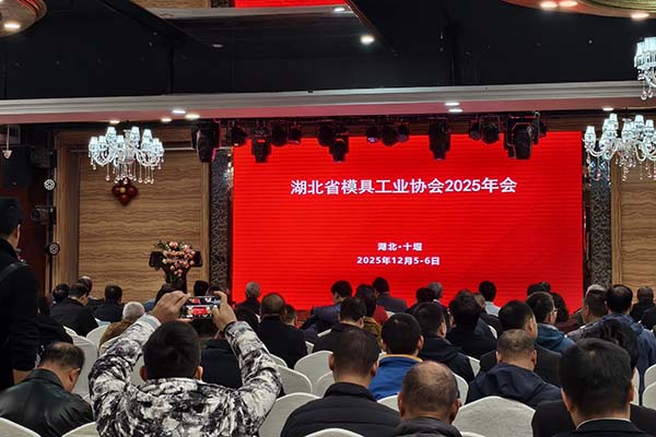 湖北模具工业协会年会